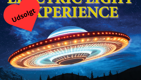 Electric Light Experience på Realen